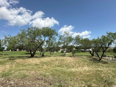 Build your dream home on this exceptional golf course lot on Slick Rock Golf Course - Horseshoe Bay in Texas - for sale on GolfHomes.com, golf home, golf lot