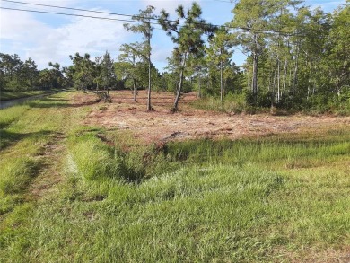 2.60 acres in beautiful Wedgefield. Perfect location to build on Wedgefield Golf Club in Florida - for sale on GolfHomes.com, golf home, golf lot