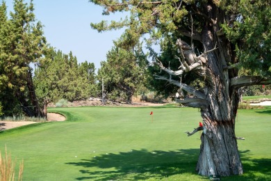 65765 Pronghorn Estates Drive, Lot 24, is an iconic Juniper on The Club At Pronghorn Golf Course in Oregon - for sale on GolfHomes.com, golf home, golf lot