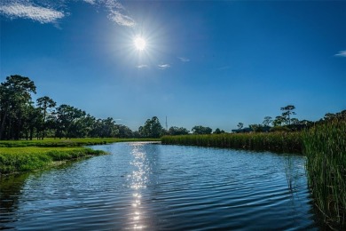Innisbrook is a truly special and unique place.The first class on Innisbrook Resort and Golf Club in Florida - for sale on GolfHomes.com, golf home, golf lot