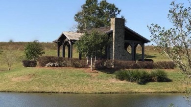 Like new home located in the beautiful Willow Walk Subdivision on Headland Country Club in Alabama - for sale on GolfHomes.com, golf home, golf lot