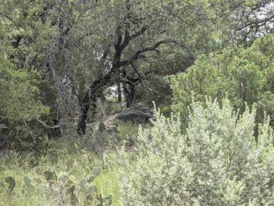 A rare opportunity to own two adjoining lots perched in one of on Horseshoe Bay Private Golf Course in Texas - for sale on GolfHomes.com, golf home, golf lot