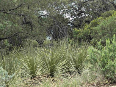A rare opportunity to own two adjoining lots perched in one of on Horseshoe Bay Private Golf Course in Texas - for sale on GolfHomes.com, golf home, golf lot