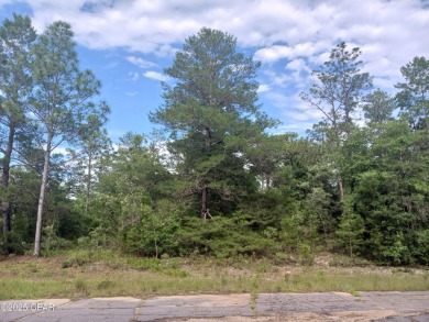 Vacant Lot in Sunny Hills - Build Your Dream Home Today!Take on Sunny Hills Golf and Country Club in Florida - for sale on GolfHomes.com, golf home, golf lot