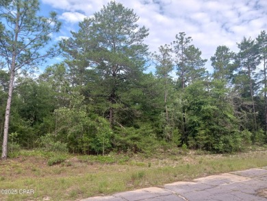 Vacant Lot in Sunny Hills - Build Your Dream Home Today!Take on Sunny Hills Golf and Country Club in Florida - for sale on GolfHomes.com, golf home, golf lot
