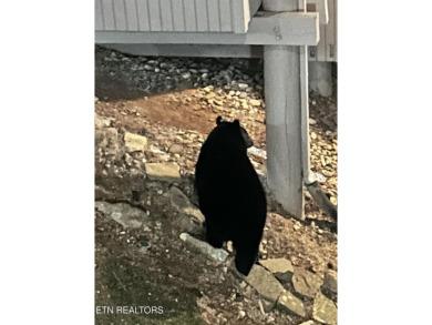 Discover the ideal investment opportunity in the breathtaking on Bent Creek Golf Course in Tennessee - for sale on GolfHomes.com, golf home, golf lot