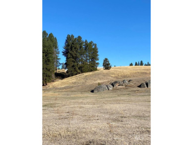 Welcome Home to Elk Meadows River Ranches, with only 14 lots on Osprey Meadows at Tamarack Resort in Idaho - for sale on GolfHomes.com, golf home, golf lot