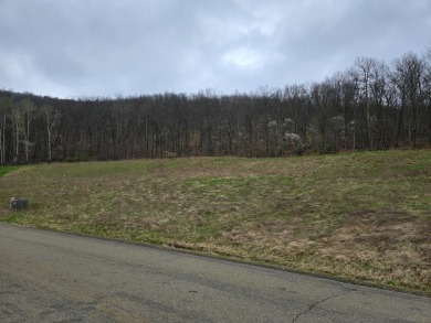 OPPORTUNITY AWAITS! Large building lot in Buck Meadows Estates on Bath Country Club in New York - for sale on GolfHomes.com, golf home, golf lot