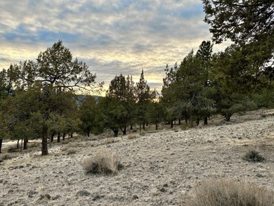 Build your dream home on this 0.86 acre residential homesite on Running Y Ranch Resort in Oregon - for sale on GolfHomes.com, golf home, golf lot