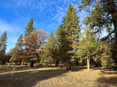 Build your dream home on this 0.50 acre residential homesite at on Running Y Ranch Resort in Oregon - for sale on GolfHomes.com, golf home, golf lot