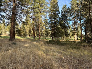 Build your dream home on this 0.50 acre residential homesite at on Running Y Ranch Resort in Oregon - for sale on GolfHomes.com, golf home, golf lot