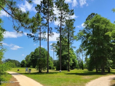 Don't miss this rare opportunity to own a beautiful 0.682-acre on Sunny Hills Golf and Country Club in Florida - for sale on GolfHomes.com, golf home, golf lot
