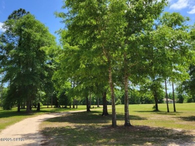 Don't miss this rare opportunity to own a beautiful 0.682-acre on Sunny Hills Golf and Country Club in Florida - for sale on GolfHomes.com, golf home, golf lot