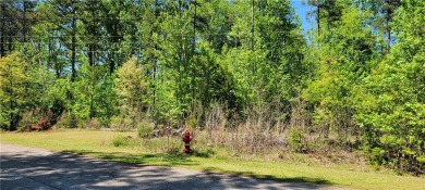 Looking to build your dream home in a fabulous gated on The Trail At Chickasaw Pointe in South Carolina - for sale on GolfHomes.com, golf home, golf lot