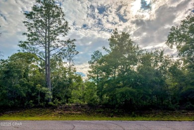 Vacant Lot in Sunny Hills - Build Your Dream Home Today! Take on Sunny Hills Golf and Country Club in Florida - for sale on GolfHomes.com, golf home, golf lot