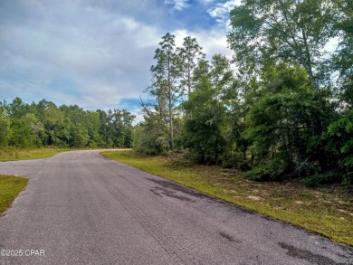 Vacant Lot in Sunny Hills - Build Your Dream Home Today! Take on Sunny Hills Golf and Country Club in Florida - for sale on GolfHomes.com, golf home, golf lot