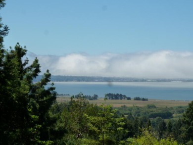 Hideaway above Baywood. Owner designed home among the Redwoods on Baywood Golf and Country Club in California - for sale on GolfHomes.com, golf home, golf lot