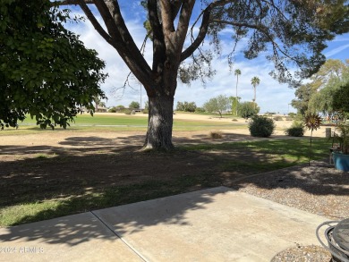 Beautiful 3 bedroom Gemini/Twin home situated on the 17th hole on Sun City Lakes West and East in Arizona - for sale on GolfHomes.com, golf home, golf lot