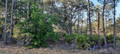 Come build your forever home on this one-half lot that located on Indian Lake Estates Golf and Country Club in Florida - for sale on GolfHomes.com, golf home, golf lot