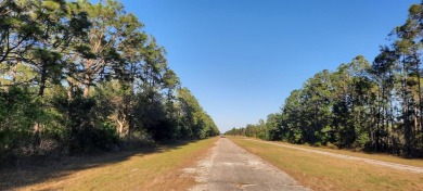 Come build your forever home on this one-half lot that located on Indian Lake Estates Golf and Country Club in Florida - for sale on GolfHomes.com, golf home, golf lot