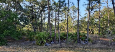 Come build your forever home on this one-half lot that located on Indian Lake Estates Golf and Country Club in Florida - for sale on GolfHomes.com, golf home, golf lot
