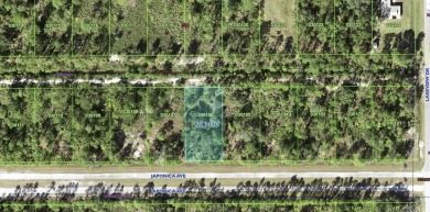 Come build your forever home on this one-half lot that located on Indian Lake Estates Golf and Country Club in Florida - for sale on GolfHomes.com, golf home, golf lot