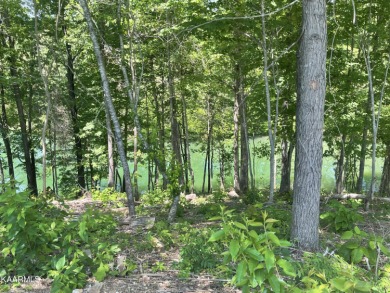 Lakefront homesite nestled into a quiet cove just off the main on Wind River Golf Course in Tennessee - for sale on GolfHomes.com, golf home, golf lot