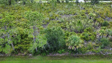 Discover an outstanding opportunity to own a vacant lot in the on Sabal Trace Golf and Country Club in Florida - for sale on GolfHomes.com, golf home, golf lot