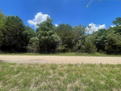 Amazing creek lot in White Bluff! This lot backs up to a small on White Bluff Resort - Old Course in Texas - for sale on GolfHomes.com, golf home, golf lot