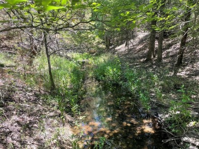 Amazing creek lot in White Bluff! This lot backs up to a small on White Bluff Resort - Old Course in Texas - for sale on GolfHomes.com, golf home, golf lot