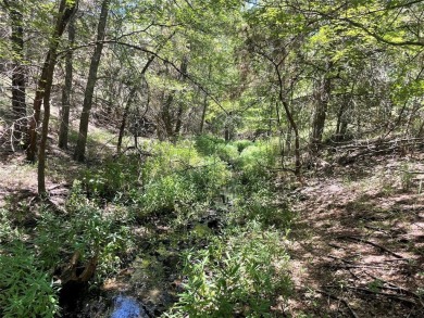 Amazing creek lot in White Bluff! This lot backs up to a small on White Bluff Resort - Old Course in Texas - for sale on GolfHomes.com, golf home, golf lot