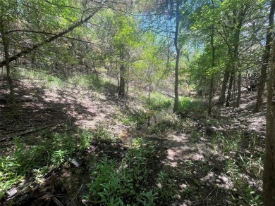 Amazing creek lot in White Bluff! This lot backs up to a small on White Bluff Resort - Old Course in Texas - for sale on GolfHomes.com, golf home, golf lot
