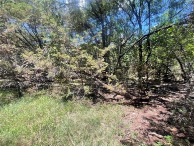 Amazing creek lot in White Bluff! This lot backs up to a small on White Bluff Resort - Old Course in Texas - for sale on GolfHomes.com, golf home, golf lot