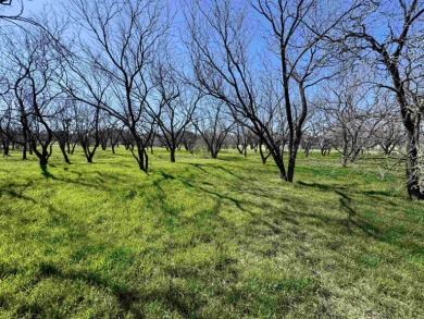 Come Build Your Custom Home in Horseshoe Bay, Beautiful Lot with on Apple Rock Golf Course - Horseshoe Bay in Texas - for sale on GolfHomes.com, golf home, golf lot