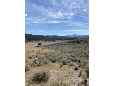 Welcome home to Elk Meadows River Ranches, with only 14 lots on Osprey Meadows at Tamarack Resort in Idaho - for sale on GolfHomes.com, golf home, golf lot