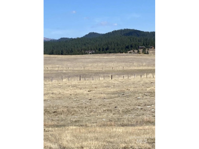 Welcome home to Elk Meadows River Ranches, with only 14 lots on Osprey Meadows at Tamarack Resort in Idaho - for sale on GolfHomes.com, golf home, golf lot