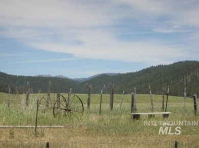 Welcome home to Elk Meadows River Ranches, with only 14 lots on Osprey Meadows at Tamarack Resort in Idaho - for sale on GolfHomes.com, golf home, golf lot