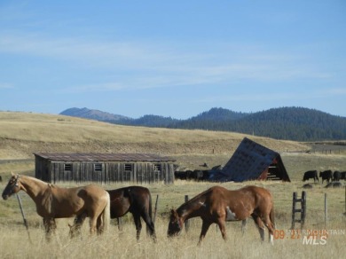 Welcome home to Elk Meadows River Ranches, with only 14 lots on Osprey Meadows at Tamarack Resort in Idaho - for sale on GolfHomes.com, golf home, golf lot