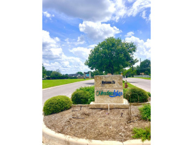 Below Tax Appraisal! Build your dream home on this fantastic lot on Hidden Falls Golf Club in Texas - for sale on GolfHomes.com, golf home, golf lot