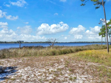 Welcome Home to your exquisite lakefront coastal oasis!  Wild on Sharks Tooth Golf Club in Florida - for sale on GolfHomes.com, golf home, golf lot
