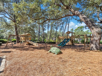 Welcome Home to your exquisite lakefront coastal oasis! Wild on Sharks Tooth Golf Club in Florida - for sale on GolfHomes.com, golf home, golf lot
