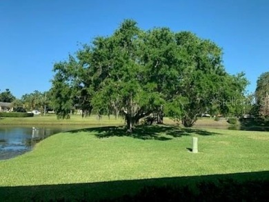 BEAUTIFUL NEW FRONT DOORS, FORMAL LIVING ROOM, DINING ROOM on Highland Lakes Executive Golf Course in Florida - for sale on GolfHomes.com, golf home, golf lot