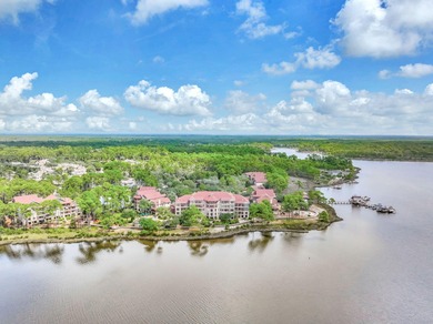 Welcome Home to your exquisite lakefront coastal oasis! Wild on Sharks Tooth Golf Club in Florida - for sale on GolfHomes.com, golf home, golf lot