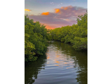Welcome to one of the largest condos by square footage in the on Cove Cay Country Club in Florida - for sale on GolfHomes.com, golf home, golf lot