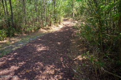 Enjoy easy, single-level, maintenance-free living in this on Cape Fear National At Brunswick Forest in North Carolina - for sale on GolfHomes.com, golf home, golf lot
