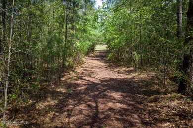 Enjoy easy, single-level, maintenance-free living in this on Cape Fear National At Brunswick Forest in North Carolina - for sale on GolfHomes.com, golf home, golf lot