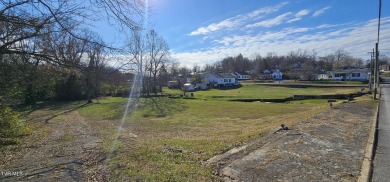 Zoned B3-commercial property Conner of E McKee and Lake St on  in Tennessee - for sale on GolfHomes.com, golf home, golf lot