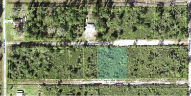 Come build your forever home on this ACRE lot that located in on Indian Lake Estates Golf and Country Club in Florida - for sale on GolfHomes.com, golf home, golf lot