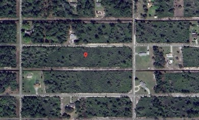 Come build your forever home on this ACRE lot that located in on Indian Lake Estates Golf and Country Club in Florida - for sale on GolfHomes.com, golf home, golf lot