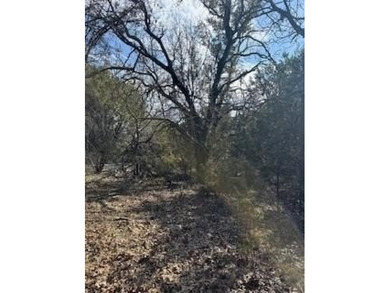 This picturesque lot is the perfect location for your future on White Bluff Resort - Old Course in Texas - for sale on GolfHomes.com, golf home, golf lot